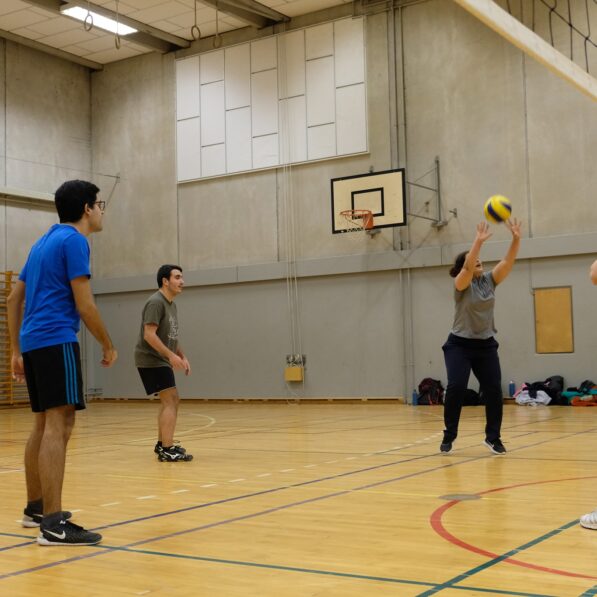 Unge mennesker spiller volleyball